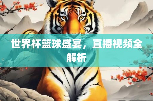 世界杯篮球盛宴