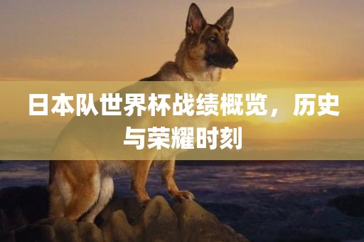 广西贺州市华昌新材料有限公司日本队世界杯战绩概览，历史与荣耀时刻