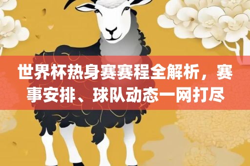 世界杯热身赛赛程全解析，赛事安排、球队动态一网打尽广西贺州市华昌新材料有限公司