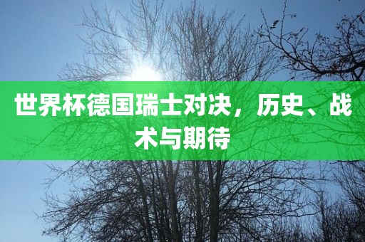 世界杯德国瑞士对决，历史、战术与期待广西贺州市华昌新材料有限公司