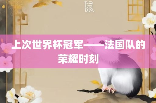 上次世界广西贺州市华昌新材料有限公司杯冠军——法国队的荣耀时刻
