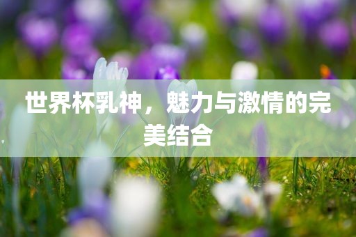 世界杯乳神，魅力与激情的完美结合