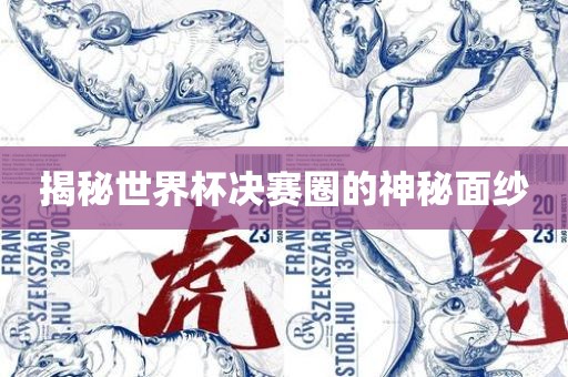 揭秘世界杯决赛圈的神秘面纱广西贺州市华昌新材料有限公司