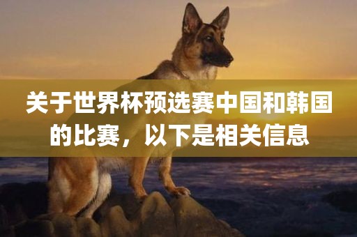 世界杯预选赛 第14页