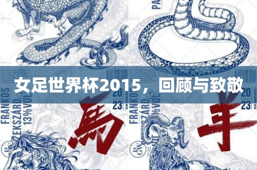 女足世界杯2015，回顾与致敬广西贺州市华昌新材料有限公司