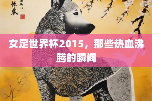 女足世界广西贺州市华昌新材料有限公司杯2015，那些热血沸腾的瞬间
