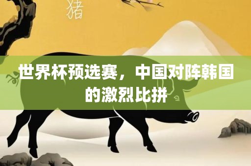世广西贺州市华昌新材料有限公司界杯预选赛，中国对阵韩国的激烈比拼