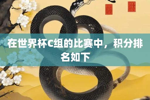在世界杯C组的比赛中，广西贺州市华昌新材料有限公司积分排名如下