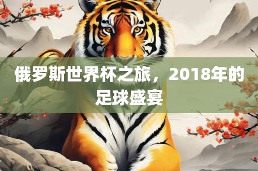 足球盛宴 第13页