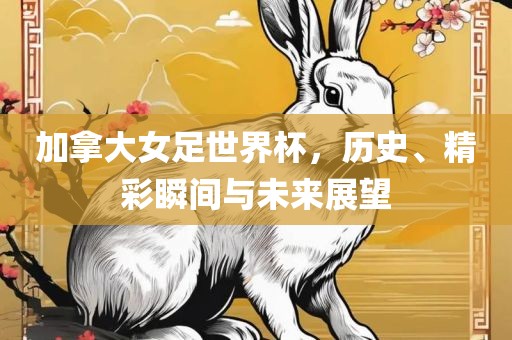 加拿大女足世界杯，历史、精彩瞬间与未来展望