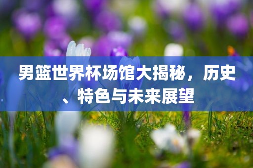 男篮世界杯场馆大揭秘，历史、特色与未来展望