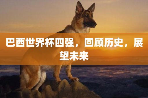 巴西世界杯四强，回顾历史，展望未来广西贺州市华昌新材料有限公司