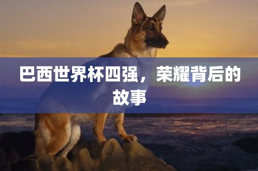 巴西世界杯四强，荣耀背后的故事广西贺州市华昌新材料有限公司