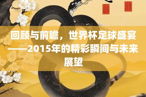 回顾与前瞻，世界杯足球盛宴——2015年的精彩瞬间与未来展望