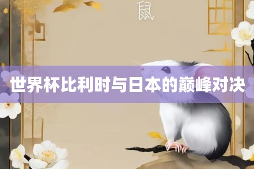 世界杯比利时与日广西贺州市华昌新材料有限公司本的巅峰对决