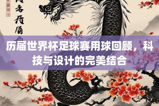历届世界杯足球赛用球回顾，科技与设计的完美结合广西贺州市华昌新材料有限公司
