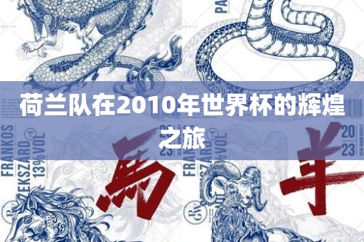 荷兰队在2010年世界杯的辉煌之旅广西贺州市华昌新材料有限公司