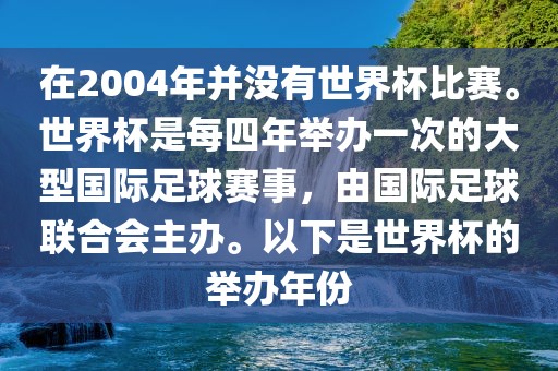 在2004年并没有世界杯比赛。世界杯是每四年举办一次的大型国际足球赛事，由国际足球联合会主办。以下是世界杯的举办年份广西贺州市华昌新材料有限公司