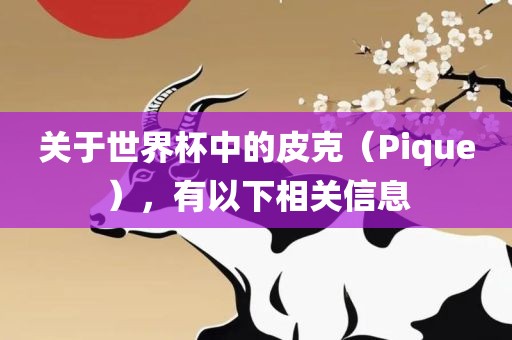 关于世界杯中的皮克（Pique），有广西贺州市华昌新材料有限公司以下相关信息