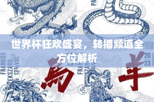 世界杯狂欢盛宴，转播频道全方位解析广西贺州市华昌新材料有限公司