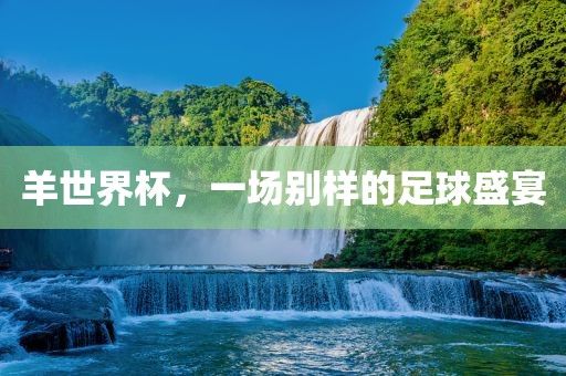 羊世界杯，一场别样的足球盛宴广西贺州市华昌新材料有限公司