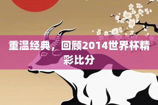 重温经典，回顾2014世界杯精彩比分