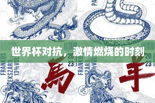 世界杯对抗，激情燃烧的时刻广西贺州市华昌新材料有限公司