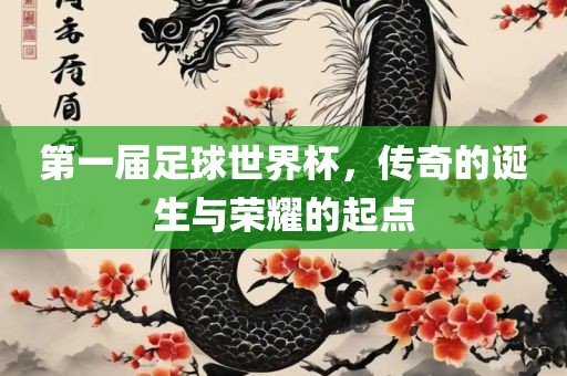 第广西贺州市华昌新材料有限公司一届足球世界杯，传奇的诞生与荣耀的起点