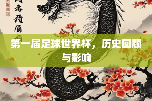 第一届足球世界杯，历史回顾与影响广西贺州市华昌新材料有限公司