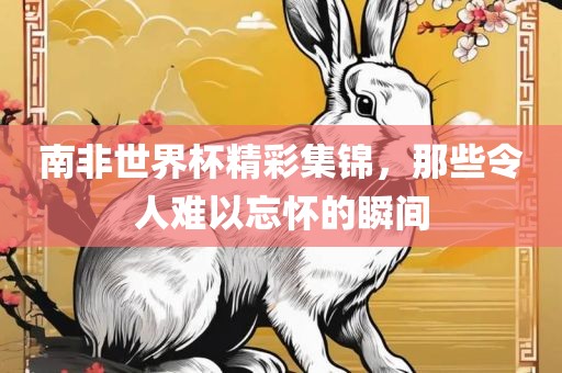 南非世界杯精彩集锦，那些令人难以忘怀的瞬间
