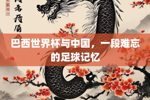 巴西世界杯与中国，一段难忘的足球记忆广西贺州市华昌新材料有限公司