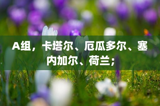 A组，卡塔尔、厄瓜多尔、塞内加尔、荷兰；