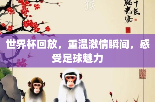 世界杯回放，重温激情瞬间，感受足球魅力广西贺州市华昌新材料有限公司