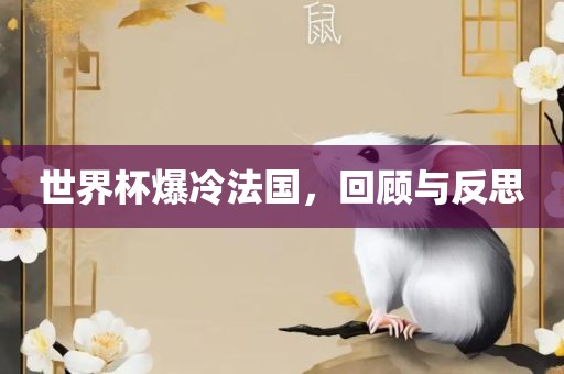 世界杯爆冷法国，回顾与反思