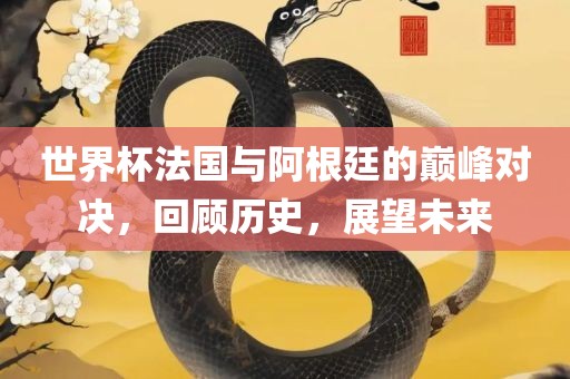 世界杯法国与阿根廷的巅峰对决，回顾历史，展望未来广西贺州市华昌新材料有限公司