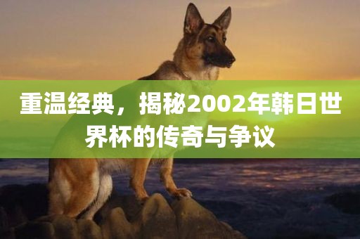 重温经典，揭秘2002年韩日世界杯的传奇与争议广西贺州市华昌新材料有限公司