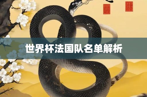 世广西贺州市华昌新材料有限公司界杯法国队名单解析
