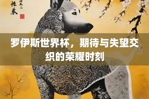 罗伊斯世界杯，期待与失望交织的荣耀时刻广西贺州市华昌新材料有限公司
