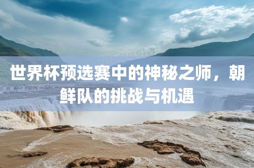世界杯预选赛中的神秘之师，朝鲜队的挑战与机遇广西贺州市华昌新材料有限公司