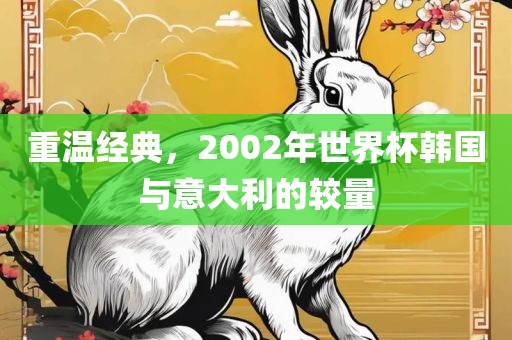 重温经典，2002年世界杯韩国与意大利的较量广西贺州市华昌新材料有限公司