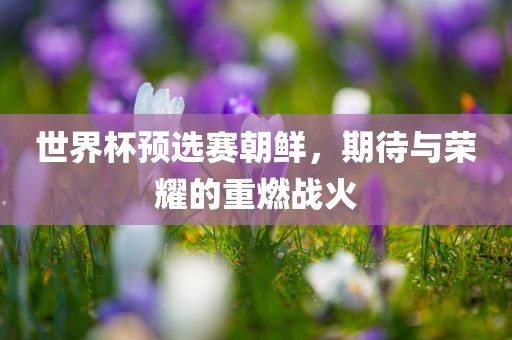 世界杯预选赛朝鲜，期待与荣耀的重燃战火