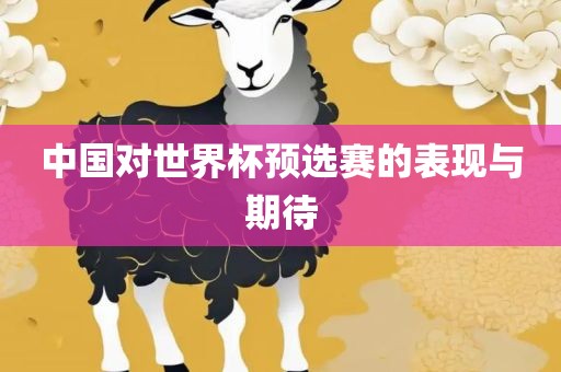 中国对世界杯预选赛的表现与期待广西贺州市华昌新材料有限公司