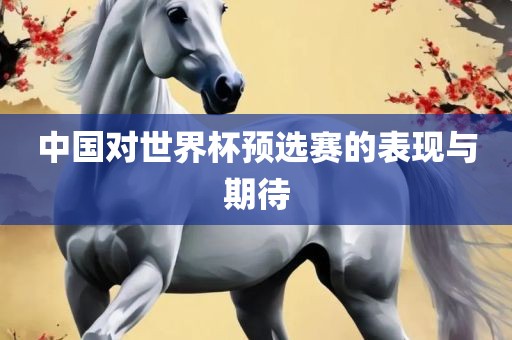 中国对世界杯预选赛的表现与期待广西贺州市华昌新材料有限公司