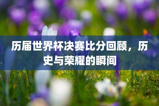 历届世界杯决赛比分回顾，历史与荣耀的瞬间广西贺州市华昌新材料有限公司