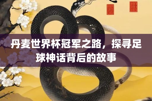 丹麦世界杯冠军之路，探寻足球神话背后的故事广西贺州市华昌新材料有限公司