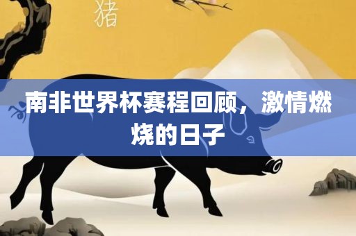 南非世界杯赛程回顾，激情燃烧的日子广西贺州市华昌新材料有限公司