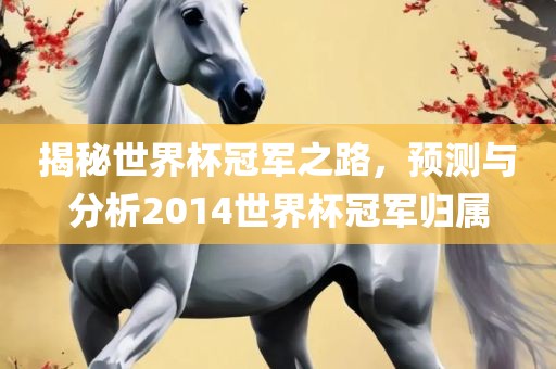 揭秘世界杯冠军之路广西贺州市华昌新材料有限公司，预测与分析2014世界杯冠军归属