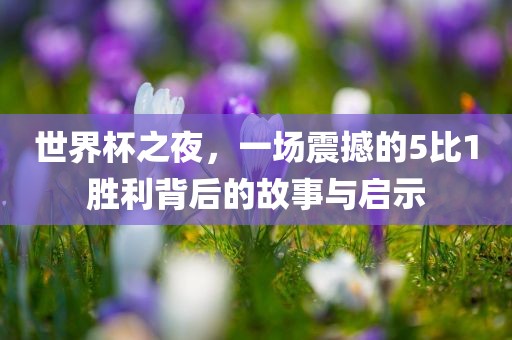 世界杯之夜，一场震撼的5比1胜利背后的故事与启示广西贺州市华昌新材料有限公司