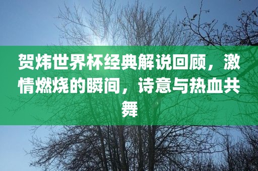 贺炜世界杯经典解说回顾，激情燃烧的瞬间，诗意与热血共舞