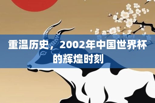 重温历史，2002年中国世界杯的辉煌时刻